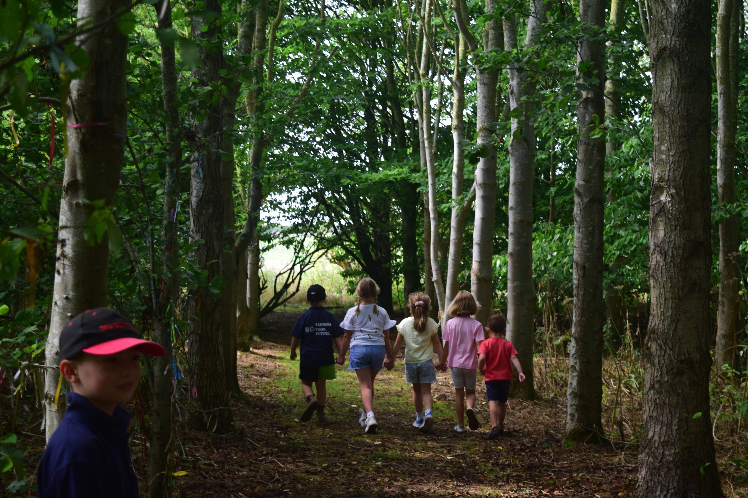 Debutots Woodland Adventurers